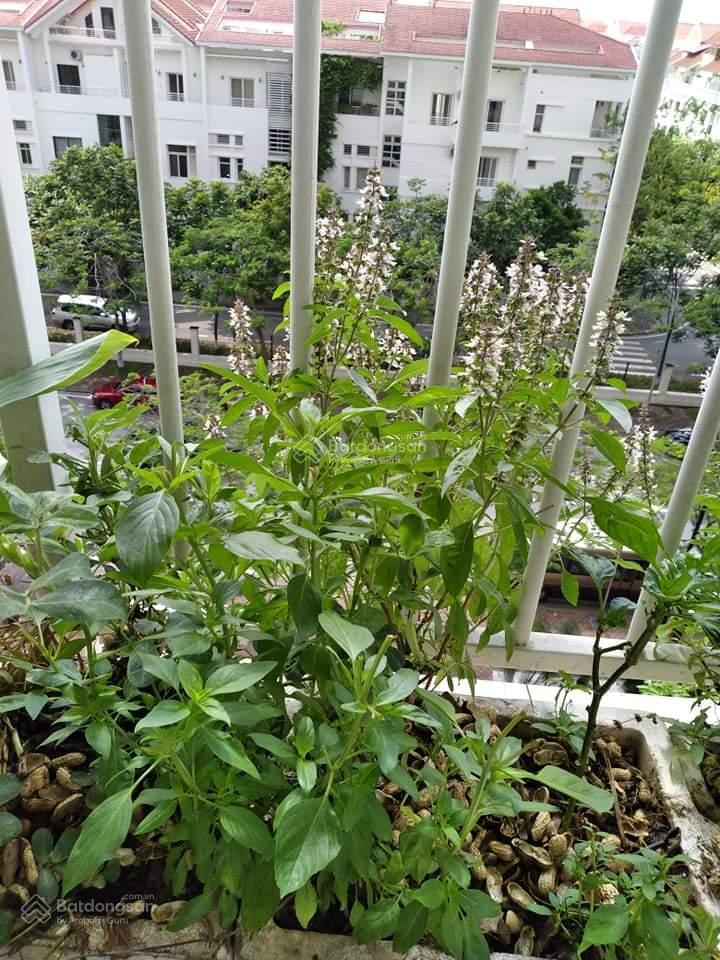 Bán căn hộ chung cư 88m2 tại mailand hanoi city, 2pn, 2wc, chính chủ, thiện chí bán, 0985 302 ***