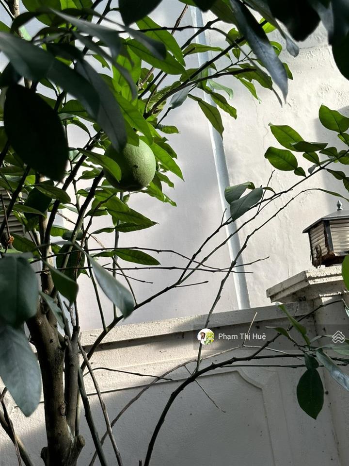 Cho thuê biệt thự hàng hiếm tại mailand hanoi city, 22 triệu, 270m2