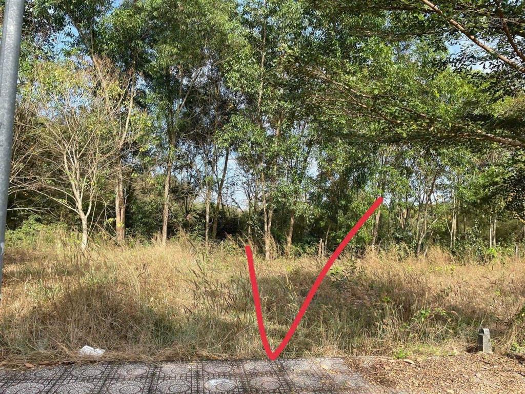 Bán lô đất full thổ cư, xây dựng tự do gần khu vinhomes saigon park