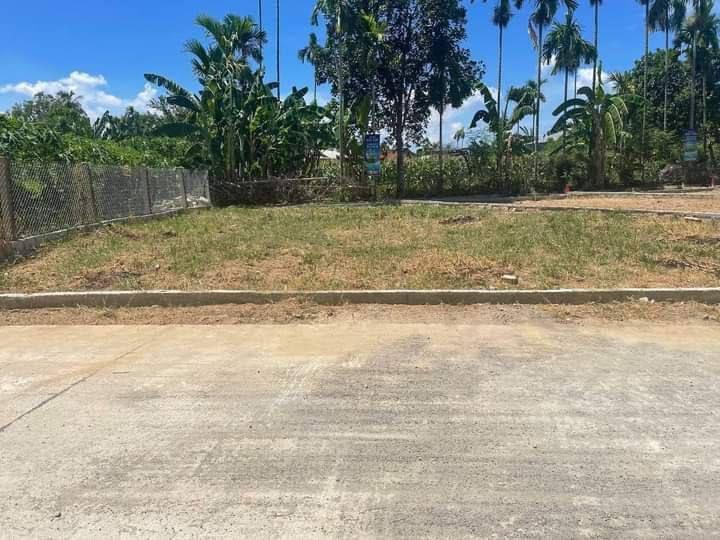 CHÍNH CHỦ CẦN BÁN GẤP – 600M² ĐẤT Ở ĐẠI LỘC