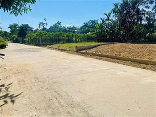 CHÍNH CHỦ CẦN BÁN GẤP – 600M² ĐẤT Ở ĐẠI LỘC