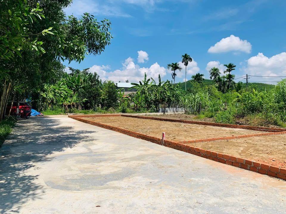 Đất Hoà Vang bán nhanh giá chỉ từ 8xx triệu