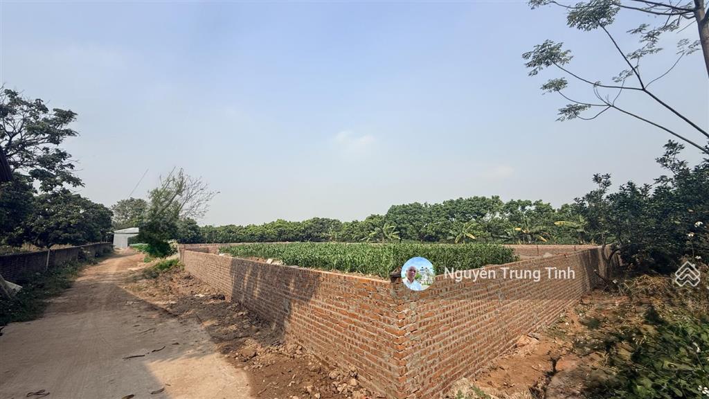 Bán 2300m2 đất thổ cư giáp khu công nghiệp lương sơn hoà bình. giá đầu tư chỉ có 4,5 tr/m