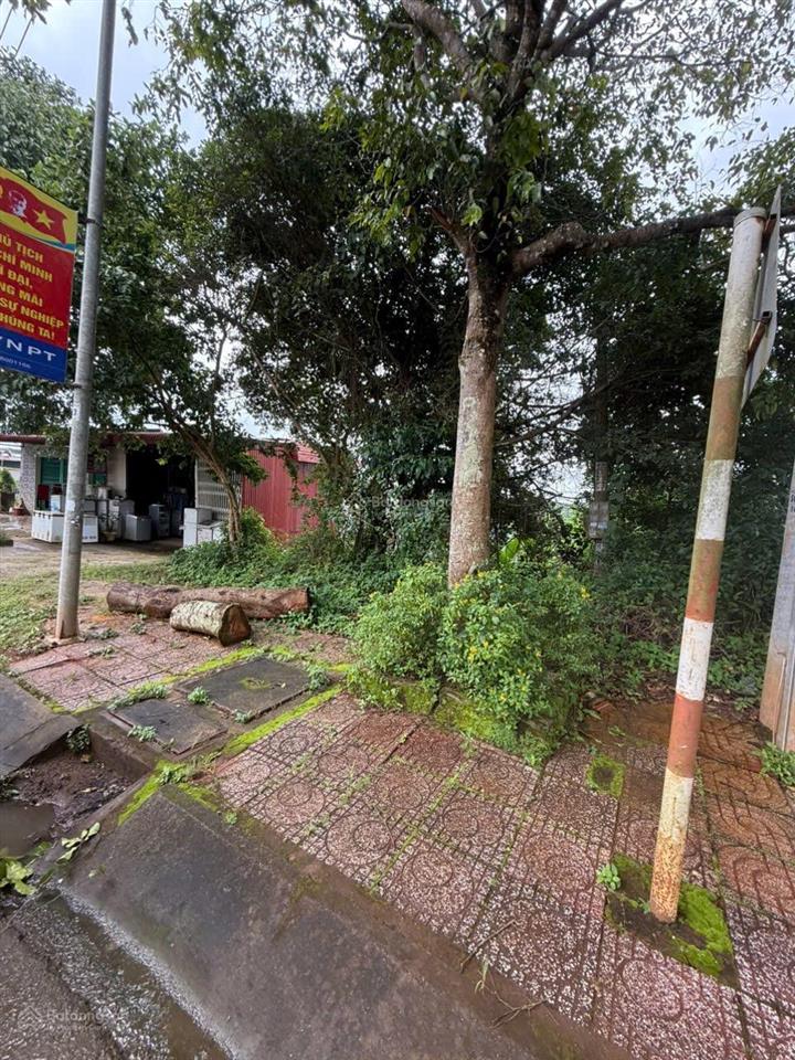 Chính chủ bán lô đất 530m2 mặt đường ql28 gần bệnh viện đa khoa đăk nông giá bán nhanh 2 tỷ