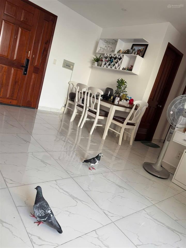 Chung cư khang phú cần bán gấp giá tốt, 74m2, 2 phòng ngủ đường huỳnh thiện lộc, tân phú