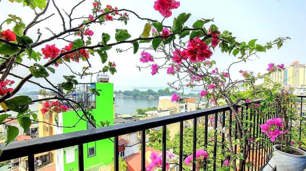 Chính chủ gửi bán tòa nhà mặt phố trúc bạch  nguyễn khắc hiếu 230m2, 11 tầng, mt 7.5m. giá 160tỷ