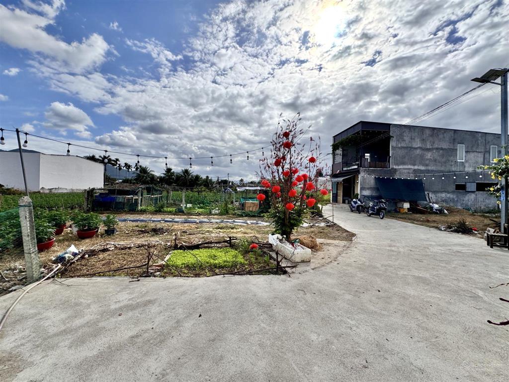 Bán đất đông dinh diên toàn giá rẻ