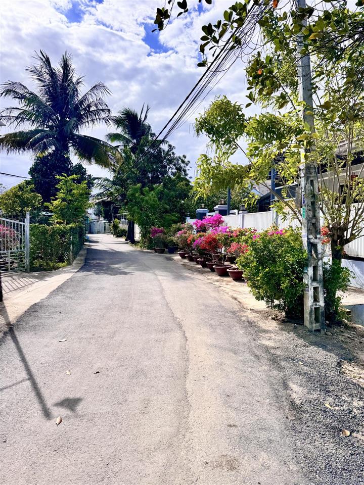 Bán đất đông dinh diên toàn giá rẻ