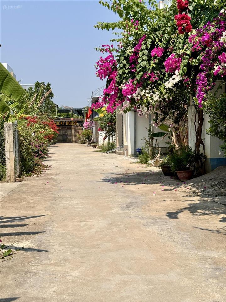 Bán đất diên an đường lầu ông huyện cách 23/10 vào chỉ 50m