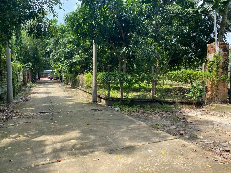 Đất nền dự án thời báo kinh tế, bưng ông thoàn, phường long trường dt 8x20m giá bán nhanh 60tr/m2