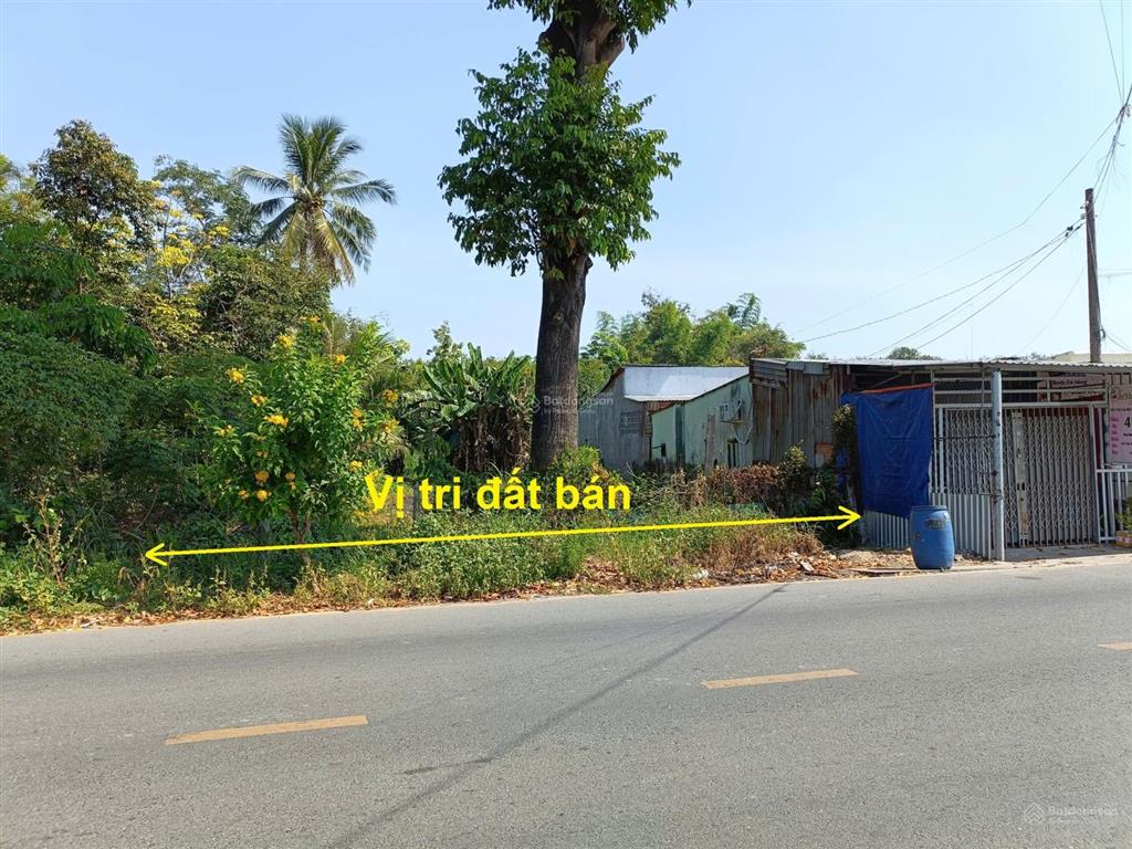 Bán đất mt nguyễn kim cương, tân thạnh đông củ chi, 456m², 10.1x45m, vị trí thuận tiện kd buôn bán