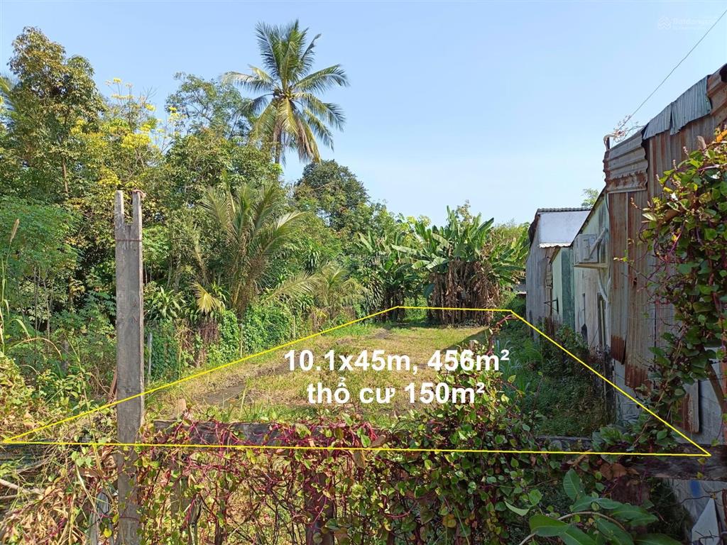Bán đất mt nguyễn kim cương, tân thạnh đông củ chi, 456m², 10.1x45m, vị trí thuận tiện kd buôn bán