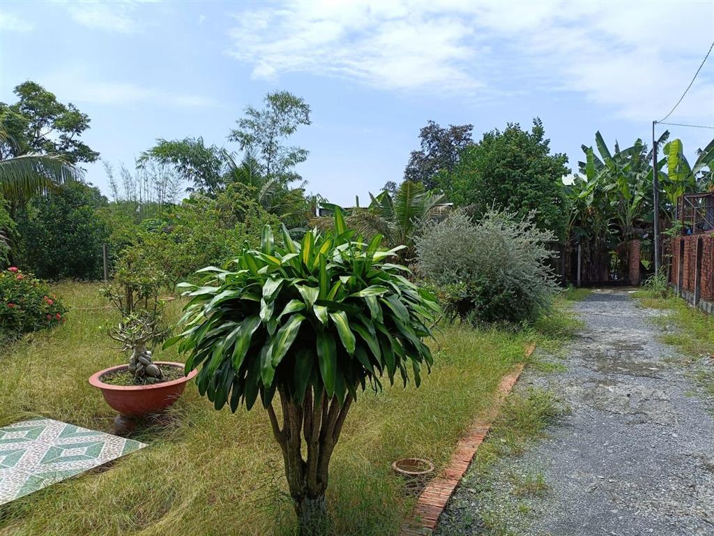 Bán nhà vườn phước thạnh củ chi, 23x44m, 1015m², 23x44m, thổ cư 300m², nhà cấp 4 mới đẹp mua ở ngay