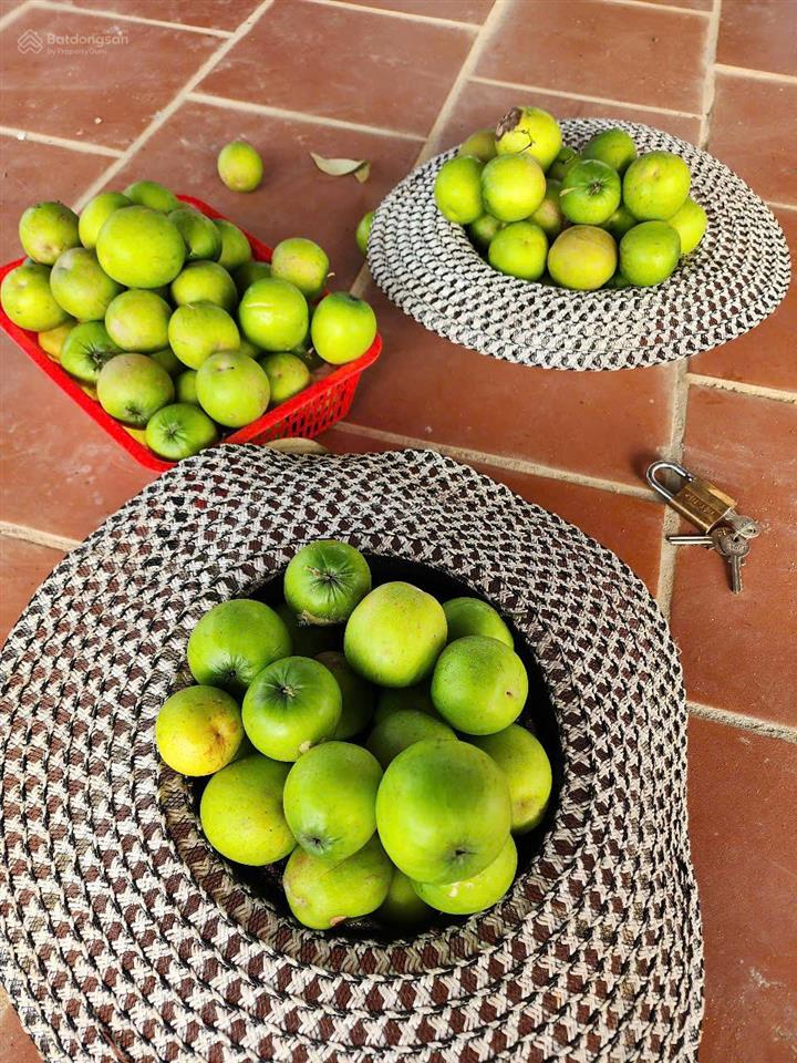 Bán nhà vườn sinh thái bình mỹ (trung an cũ) củ chi, 3.800m², view đẹp, không gian xanh, giá tốt