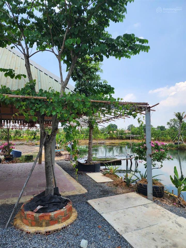 Bán nhà vườn sinh thái bình mỹ (trung an cũ) củ chi, 3.800m², view đẹp, không gian xanh, giá tốt