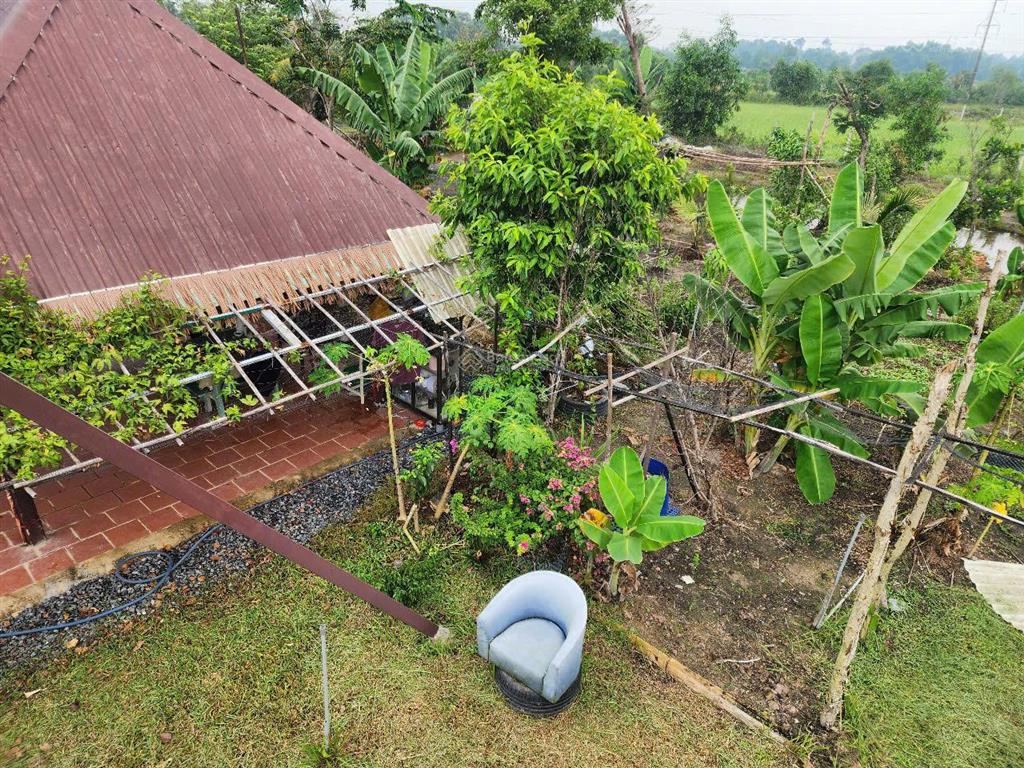 Bán nhà vườn sinh thái bình mỹ (trung an cũ) củ chi, 3.800m², view đẹp, không gian xanh, giá tốt