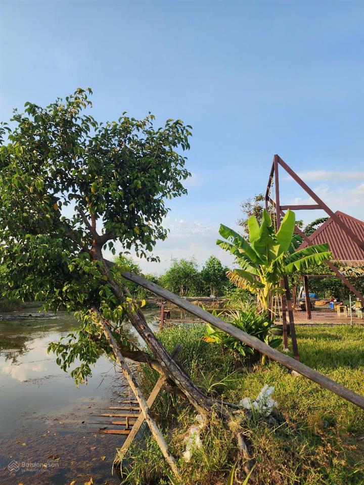 Bán nhà vườn sinh thái bình mỹ (trung an cũ) củ chi, 3.800m², view đẹp, không gian xanh, giá tốt