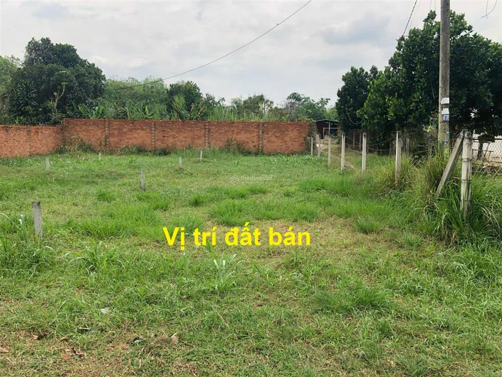 Bán đất mt đường cây gõ, an phú, củ chi, dt 203m², 7x25.5m, nở hậu đẹp 9m, thổ cư 115m², giá 2 tỷ