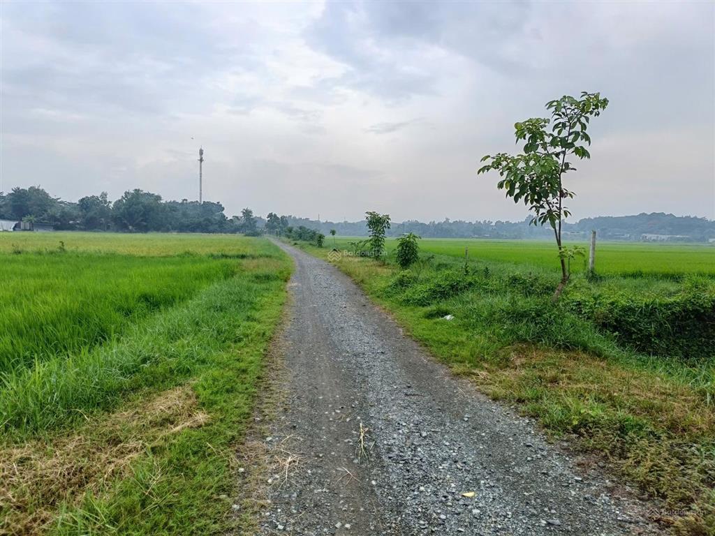 Bán đất vườn tân phú trung, củ chi 1.392m², đường ôtô, sát khu dân cư, phù hợp làm nhà vườn 5,6 tỷ