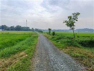 Bán đất vườn tân phú trung, củ chi 1.392m², đường ôtô, sát khu dân cư, phù hợp làm nhà vườn 5,6 tỷ