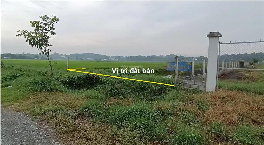 Bán đất vườn tân phú trung, củ chi 1.392m², đường ôtô, sát khu dân cư, phù hợp làm nhà vườn 5,6 tỷ