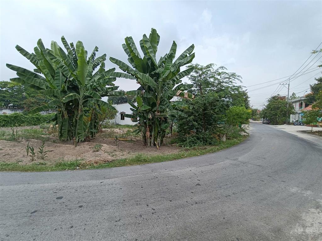 Bán nhà & đất đ. trần thị lan, trung tâm tân quy, tân thạnh tây, củ chi, lô góc 768m², giá chỉ 9 tỷ