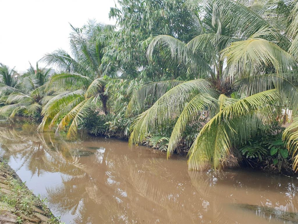 Đất 2 mặt tiền hà duy phiên (tỉnh lộ 9), bình mỹ, củ chi, 3.069m², tiềm năng phân lô, xây kho xưởng