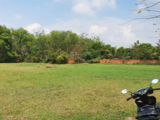 Bán đất nhà vườn xã an nhơn tây, củ chi, 3.717m², 300m² thổ cư, quy hoạch đất ở toàn bộ, chỉ 3,5 tỷ