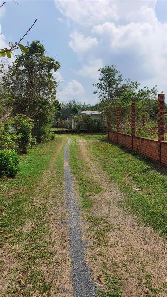 Bán đất nhà vườn xã an nhơn tây, củ chi, 3.717m², 300m² thổ cư, quy hoạch đất ở toàn bộ, chỉ 3,5 tỷ