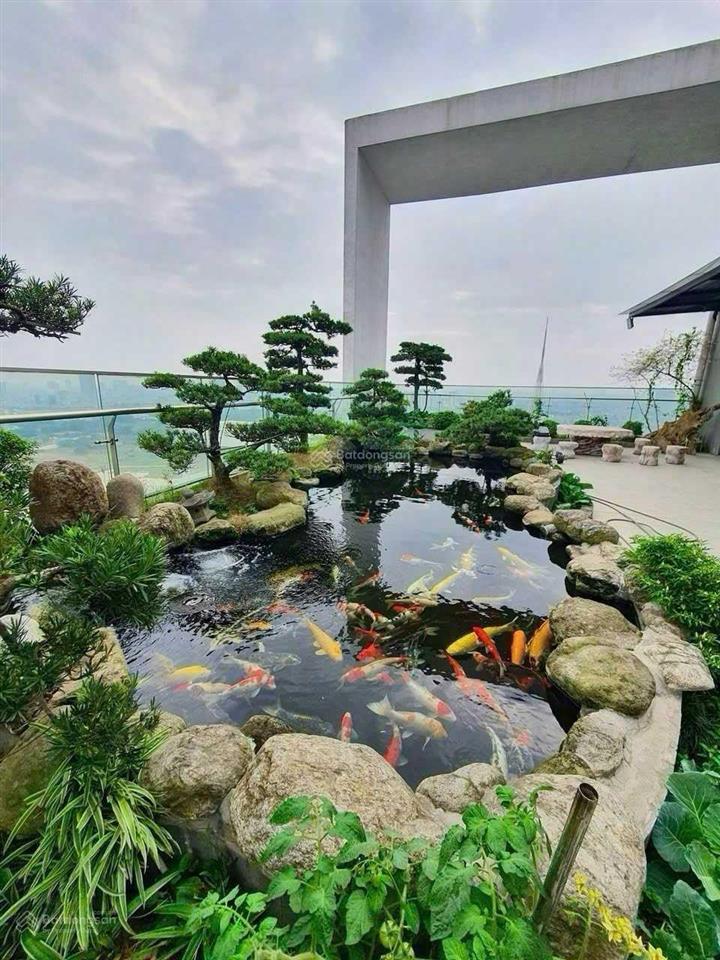 Chính chủ gửi bán gấp căn penthouse mỹ đình pearl diện tích 543m2 (133m2 sân vườn).  0986 270 ***