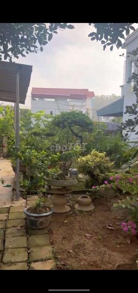 Đất Tam Chúc,,, đường ô tô, mua đất tặng Vườn