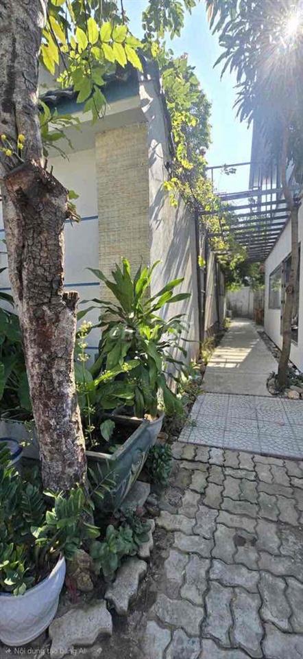 Cho thuê nhà Trương Đăng Quế gần biển Tân Trà 2pn giá 8triệu