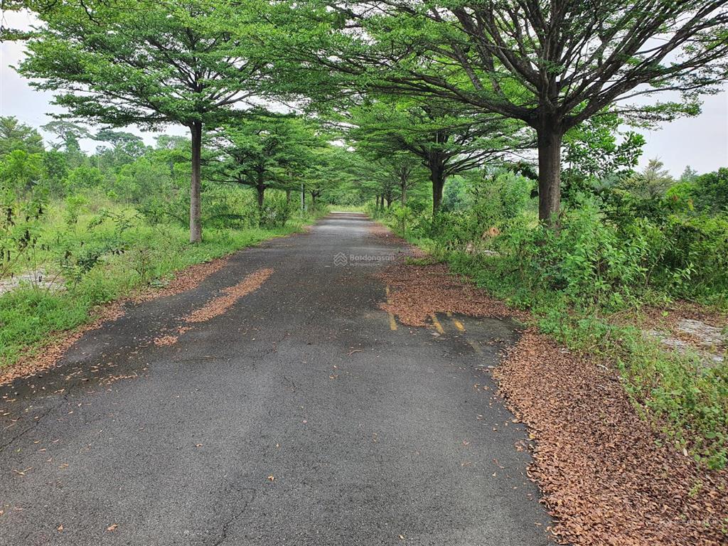 Bán đất sẵn sổ, thổ cư 100% tại dự án 1/500 thung lũng xanh, an phước, đồng nai