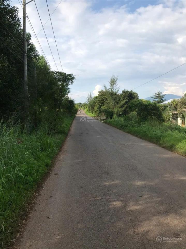 Bán đất sổ riêng hơn 1ha có thổ cư mặt tiền đường xuân phú  xuân tây, cẩm mỹ, đồng nai