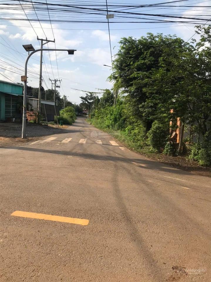 Bán đất sổ riêng hơn 1ha có thổ cư mặt tiền đường xuân phú  xuân tây, cẩm mỹ, đồng nai