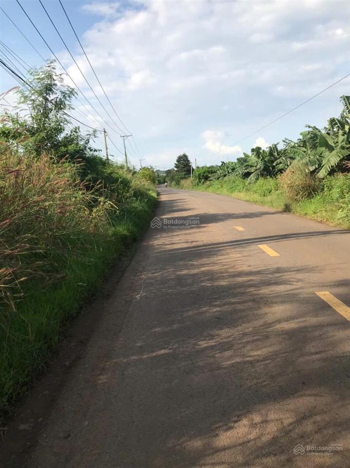 Bán đất sổ riêng hơn 1ha có thổ cư mặt tiền đường xuân phú  xuân tây, cẩm mỹ, đồng nai