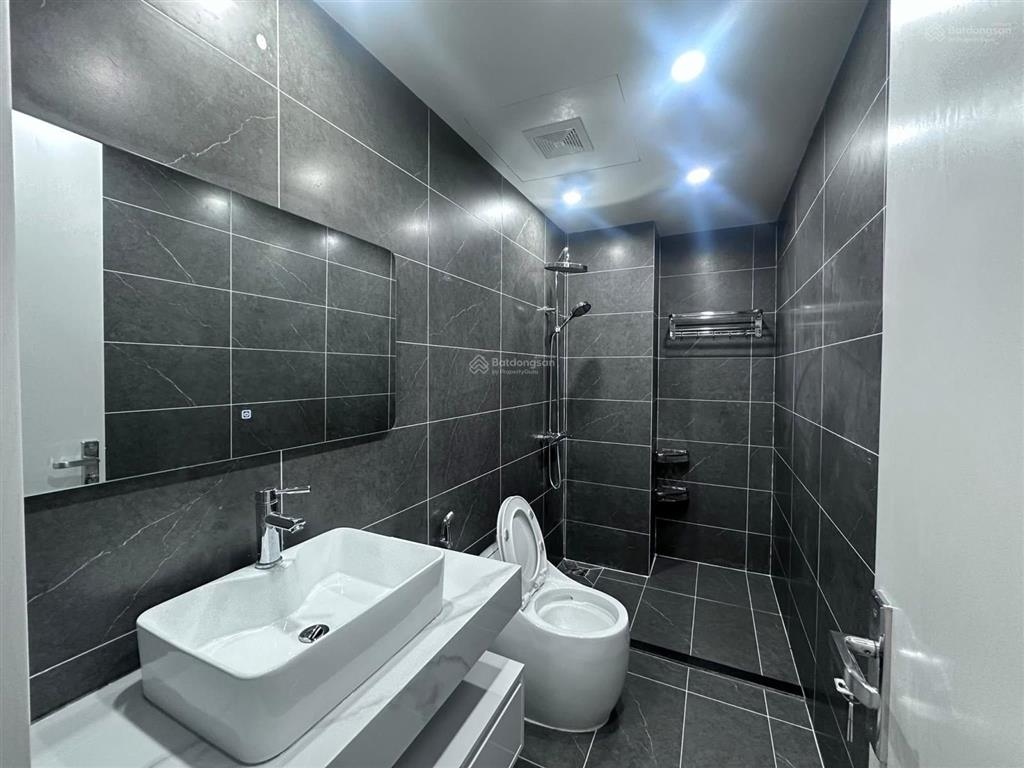 Bán nhà đẹp dân xây lô góc gần phố linh lang, phan kế bính dt 50m2 x 5 tầng, 6 ngủ, nội thất đầy đủ