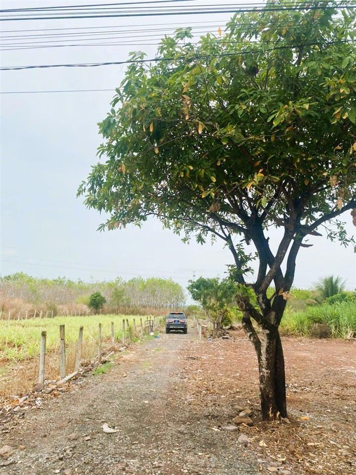 Đất đẹp huyện buôn đôn, đắk lắk 103.365m2 sổ đỏ chính chủ, vị trí trung tâm. chỉ 15 tỷ. 0935 361 ***