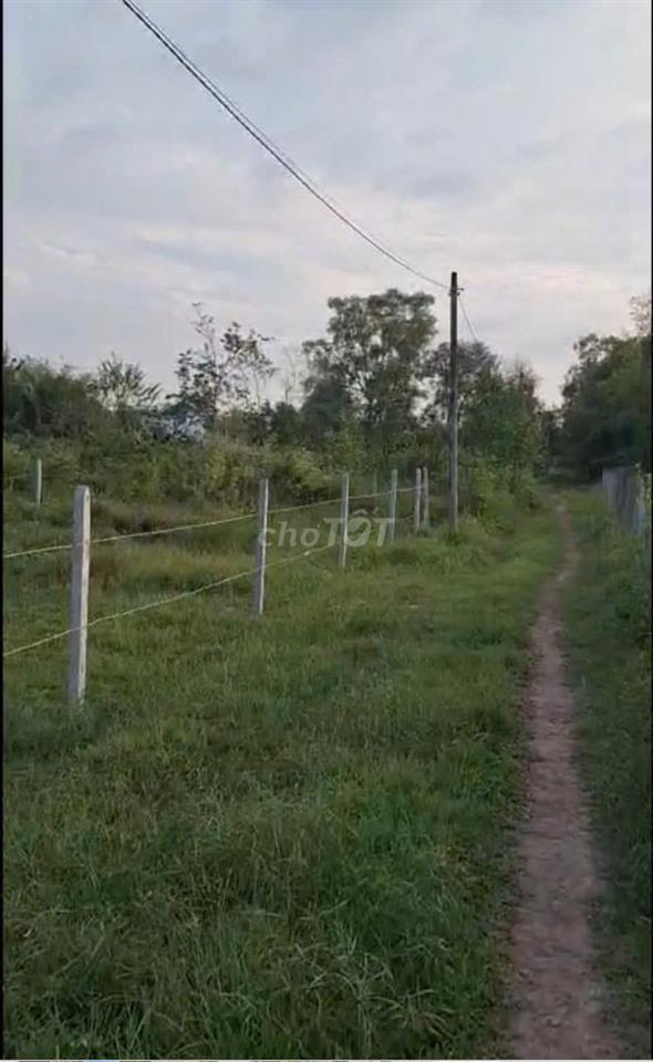 Ngộp giảm giá sâu! Bán gấp lô đất vườn, dt 512m2 ngang 41,8m, TLH