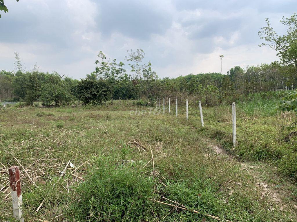 Ngộp, lô đất đường mt đường nhựa 762, dt 158m, full thổ, ANT, Củ Chi