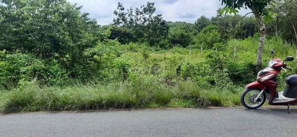 Ngộp, lô đất đường mt đường nhựa 762, dt 158m, full thổ, ANT, Củ Chi