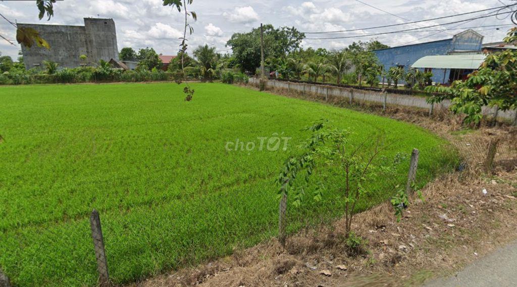 Bán lô đất mt đường Trung Hưng, diện tích 1.168m2, có 137m2 thổ cư
