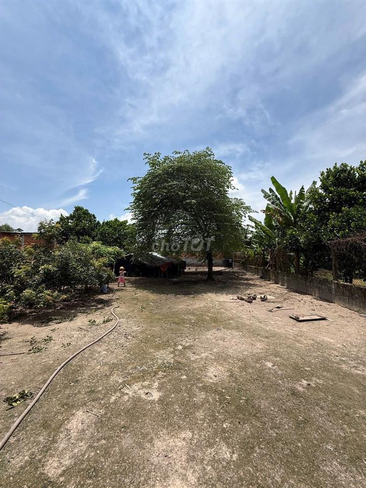 Bán lô đất mt đường nhựa Lê Thị Do, dt 1.145m2, có 300m2 thổ, Thái Mỹ.