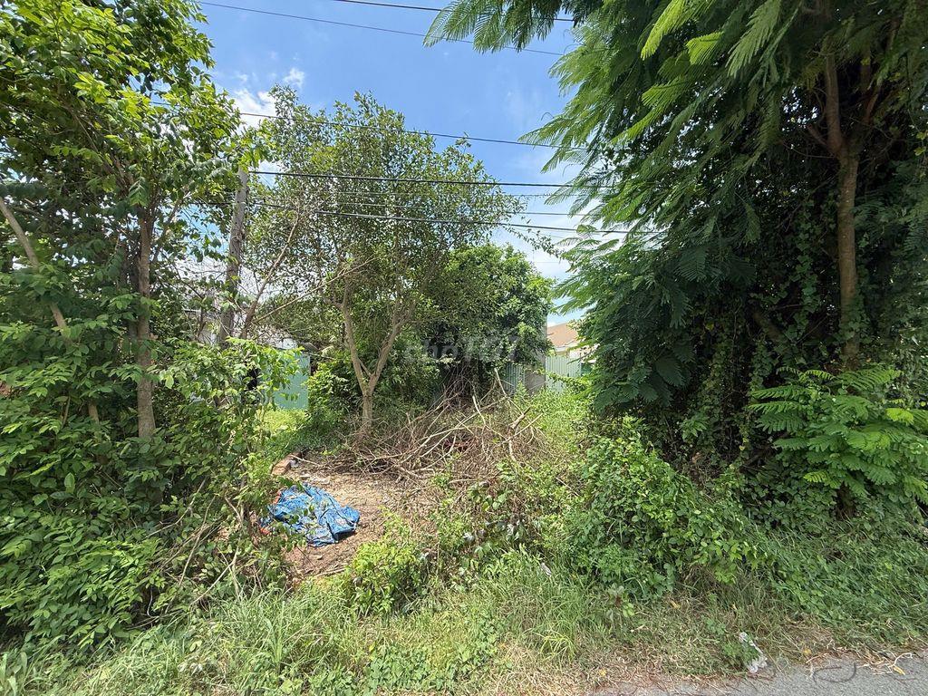 Bán lô đất mt đường nhựa Lê Thị Do, dt 1.145m2, có 300m2 thổ, Thái Mỹ.