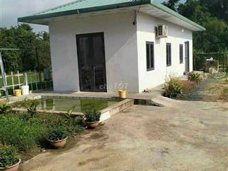 Ngộp! bán lô đất tặng nhà mt đường xe tải, dt 1.036m2, full thổ
