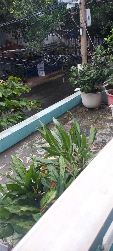 Bán nhà mặt phố cực chất đường 84, phường 4, quận 8, tp.hcm, 15,1 tỷ, 79m2