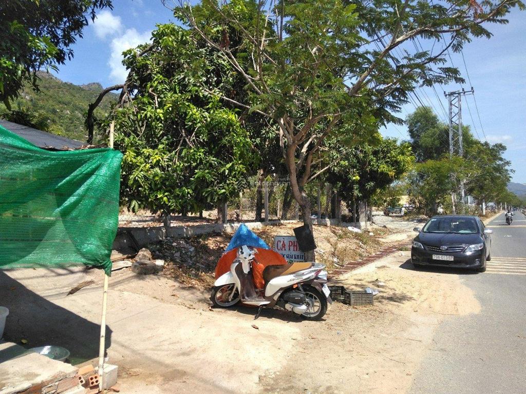 Bán đất mặt tiền đường nguyễn tất thành, 120 tỷ, 11000 m2, ngang 39m, pháp lý đầy đủ