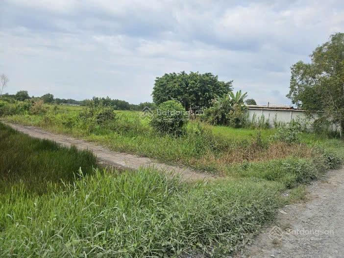 Cần tiền bán nhanh lô đất đường 804 xã an nhơn tây, tp. hcm gần sông sg, kdl một thoáng việt nam