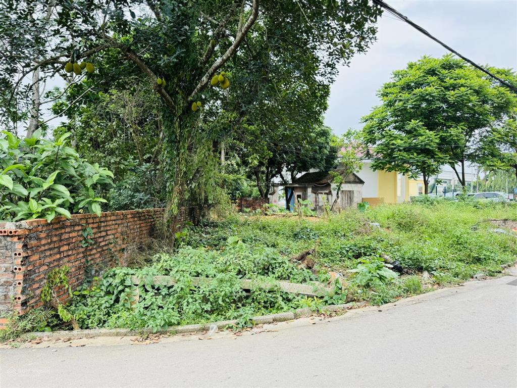 Bán lô đất siêu đẹp, ngay cạnh sân bóng phú cát gần trung tâm hành chính mới phú cát
