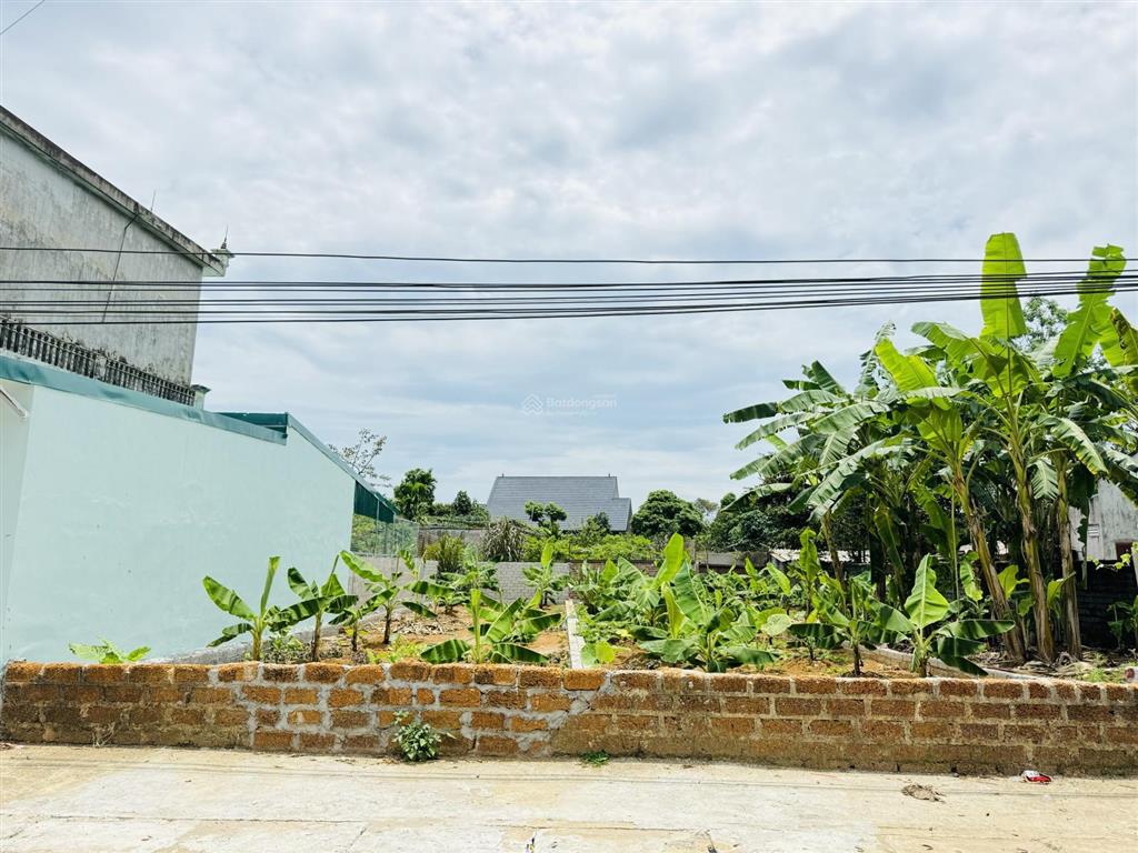 Trục chính đường nhựa đồng trạng cổ đông, 125m2 full thổ cư giá cực rẻ